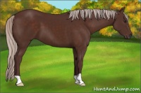 Horse Color:Chocolate Silver Brown 