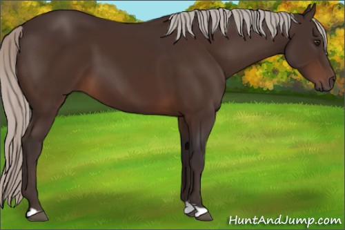 Horse Color:Silver Brown