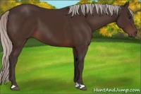 Horse Color:Silver Brown