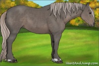 Horse Color:Silver Black 