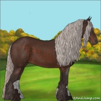 Horse Color:Silver Brown 