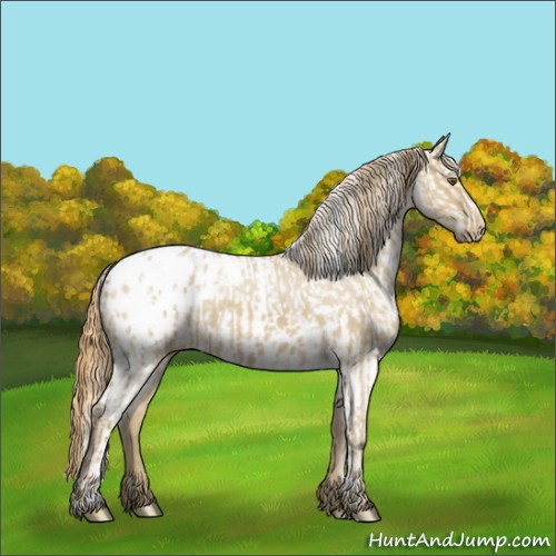 Horse Color:Classic Cream Champagne Dun Snowcap and Classic Cream Champagne Roan Dun Blanket