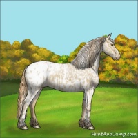 Horse Color:Classic Cream Champagne Dun Snowcap  and Classic Cream Champagne Roan Dun Blanket 