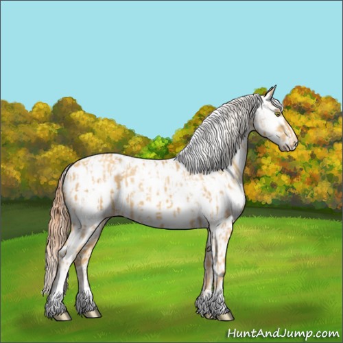 Horse Color:Silver Classic Cream Champagne Appaloosa  and Classic Cream Champagne Dun Appaloosa 