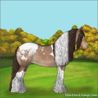 Horse Color:Liver Red Dun Tobiano Varnish Rabicano