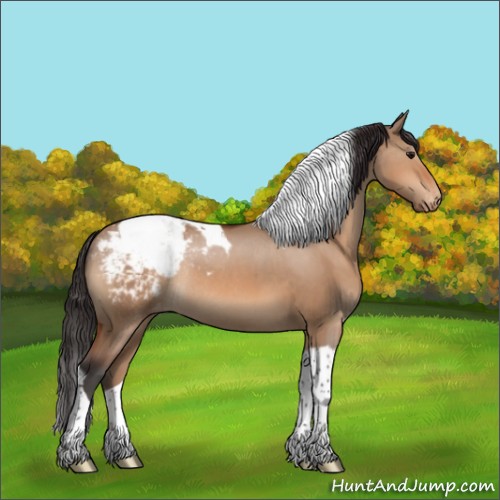 Horse Color:Bay Dun Tobiano Appaloosa Rabicano
