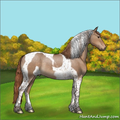 Horse Color:Liver Red Dun Tobiano Rabicano 