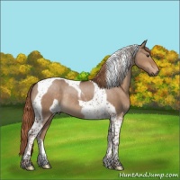 Horse Color:Liver Red Dun Tobiano Rabicano