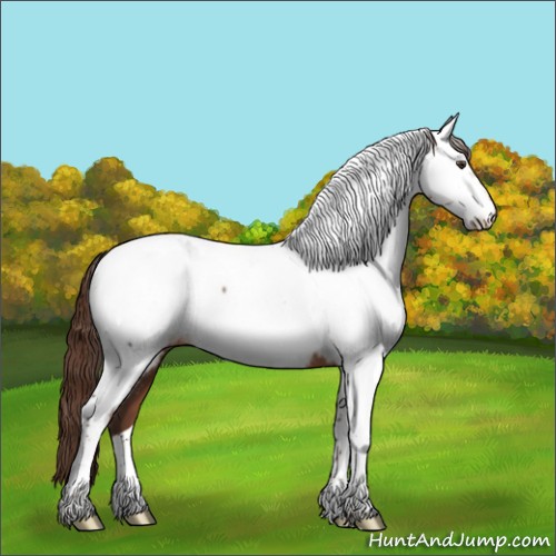 Horse Color:Liver Chestnut Tobiano Appaloosa Rabicano 