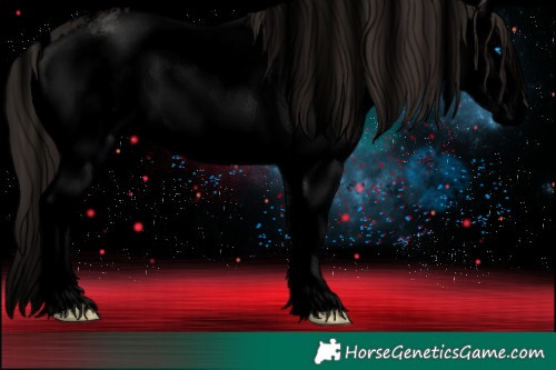 Horse Color:Void Liver Chestnut Sabino Splash 