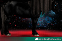 Horse Color:Void Liver Chestnut Sabino Splash