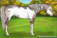 Horse Color:Silver Blue Onyx Frame 