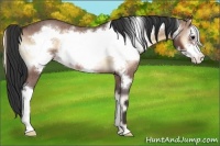 Horse Color:Bay Roan Onyx Frame Varnish 