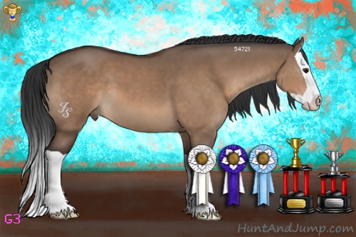 Horse Color:Bay Dun Splash 