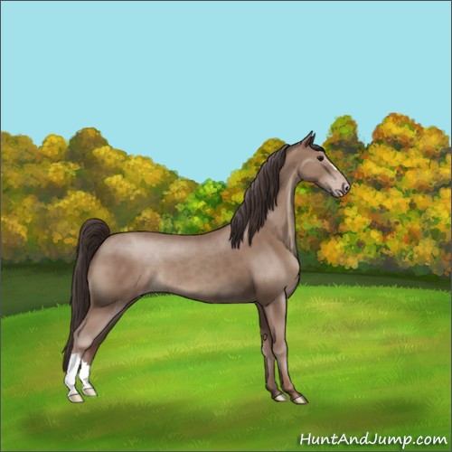 Horse Color:Classic Champagne 