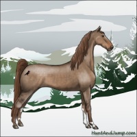 Horse Color:Liver Red Dun 