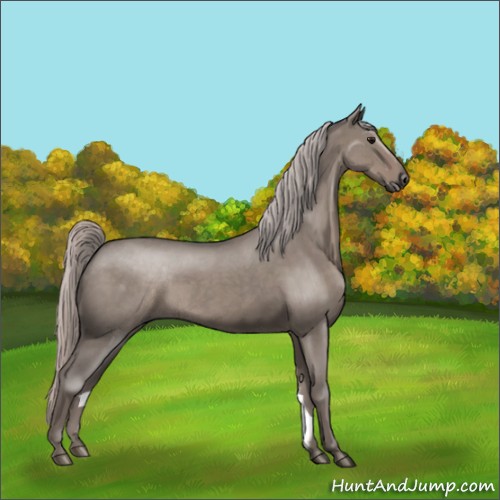 Horse Color:Silver Grullo Roan 