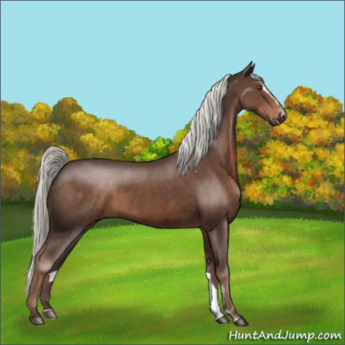 Horse Color:Liver Chestnut Sabino