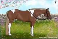 Horse Color:Chestnut Tobiano Rabicano