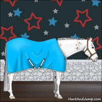 Horse Color:Bay Sabino Splash Rabicano