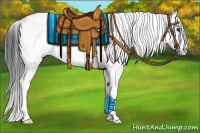 Horse Color:Bay Dun Sabino Splash