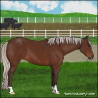 Horse Color:Silver Brown 