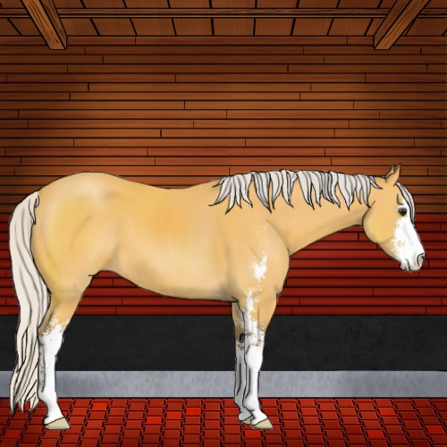 Horse Color:Silver Buckskin Sabino 