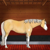 Horse Color:Silver Buckskin Sabino 