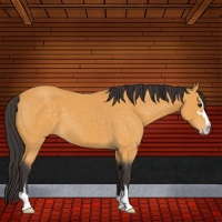 Horse Color:Buckskin Sabino
