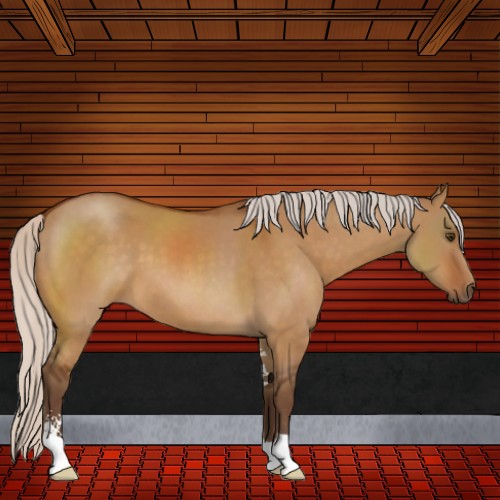 Horse Color:Silver Buckskin Dun Sabino 