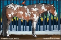 Horse Color:White Spotted Brown Sabino 