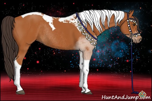 Horse Color:Buckskin Tobiano Rabicano 