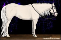 Horse Color:Cremello 
