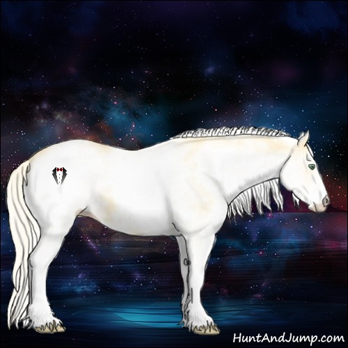 Horse Color:White Spotted Gold Cream Champagne 