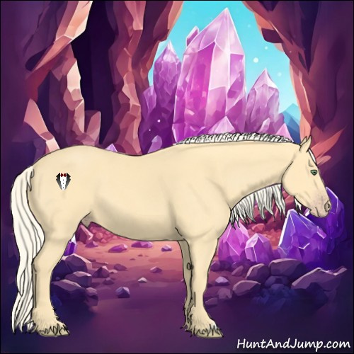 Horse Color:Gold Cream Champagne