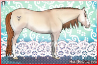 Horse Color:Gold Champagne Onyx