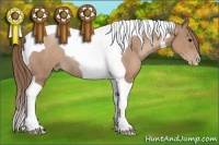 Horse Color:Black Pearl Tobiano Rabicano 