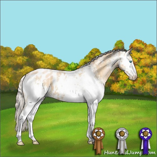 Horse Color:White Spotted Silver Buckskin Pearl Appaloosa