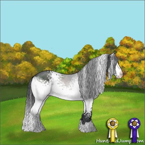 Horse Color:White Spotted Black