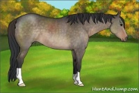 Horse Color:Brown Dun Brindle 