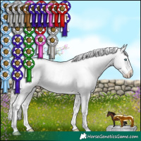 Horse Color:White Spotted Silver Buckskin Pearl Near Leopard 