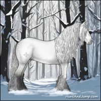 Horse Color:Gray Midnight Smoky Black 