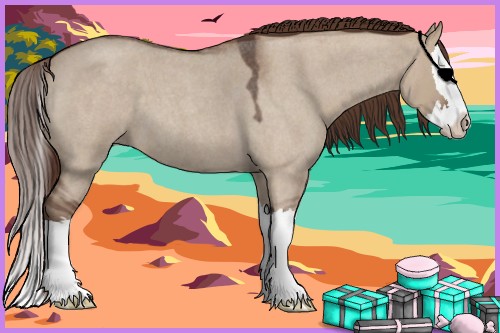 Horse Color:Liver Red Dun Roan Splash