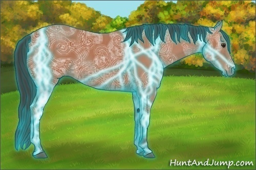 Horse Color:Thunderstruck Bay Ice 
