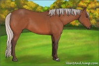 Horse Color:Silver Brown 