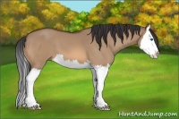 Horse Color:Brown Dun Splash 