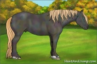 Horse Color:Midnight Buckskin Ice Pearl 