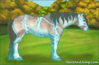 Horse Color:Thunderstruck Red Onyx Ice 