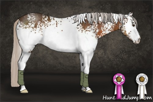 Horse Color:White Spotted Silver Buckskin 