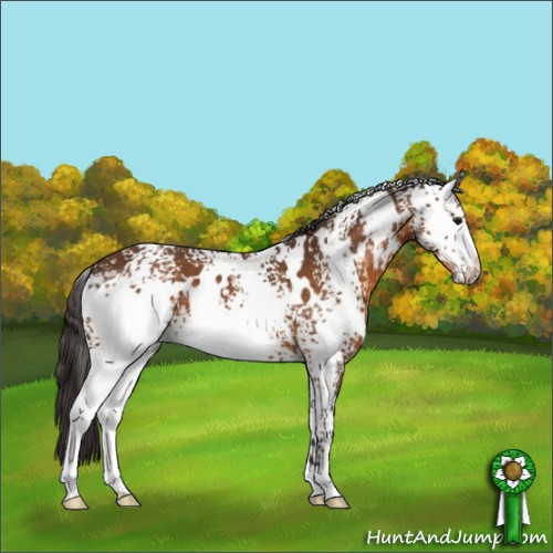 Horse Color:White Spotted Buckskin 